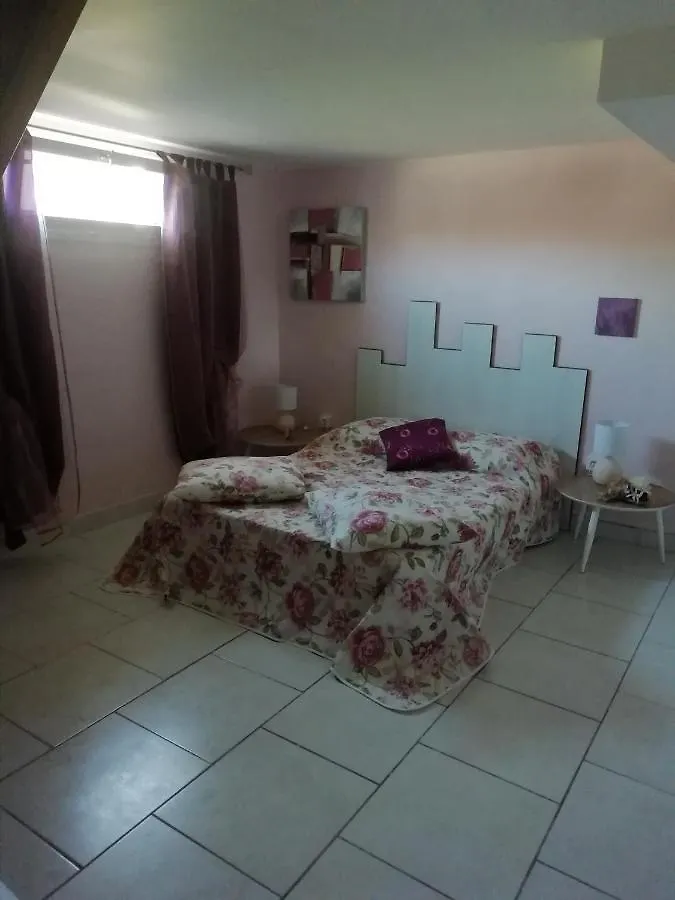 Apartment Gite Le Pastel Puechoursi
